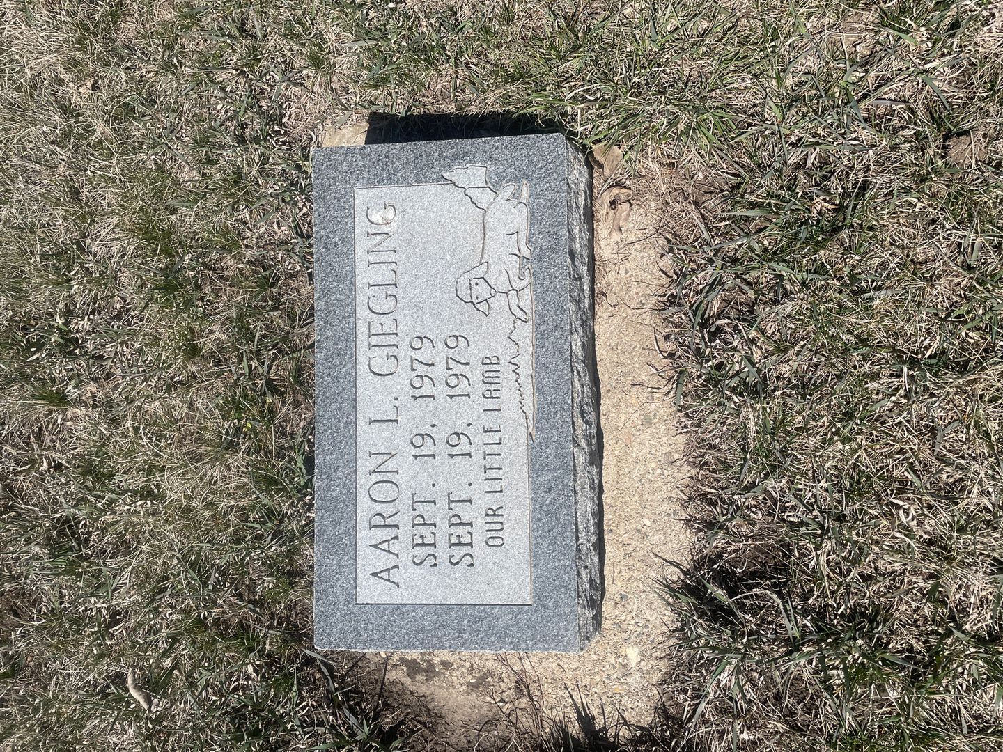 Aaron L. Giegling's grave. Photo 1