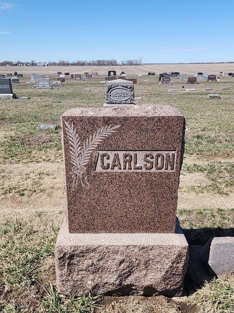Albin Carlson's grave. Photo 1