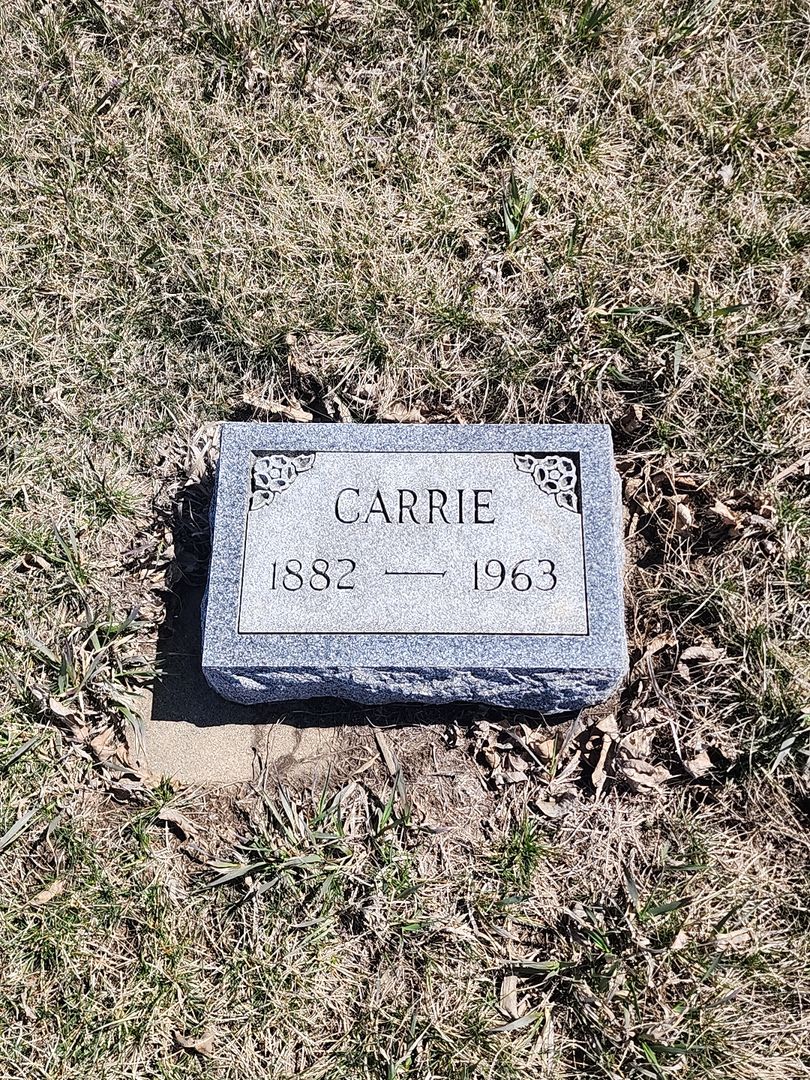 Carrie Scott Lingle Addy's grave. Photo 1